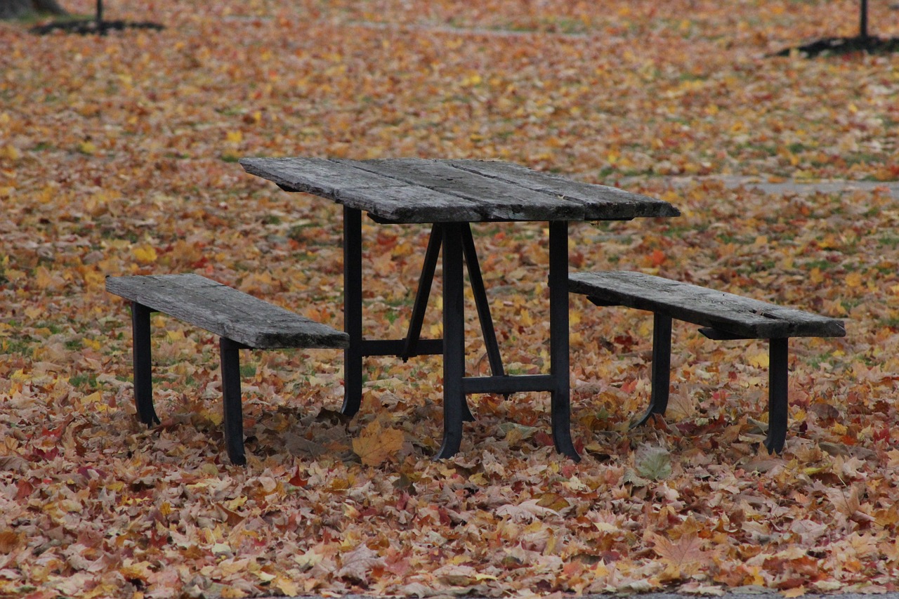 bench fall nature free photo