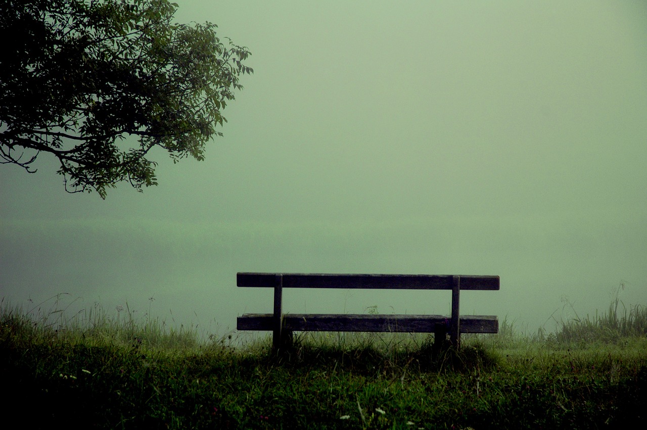 bench fog water free photo