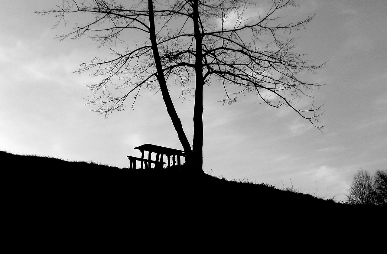 bench black white free photo