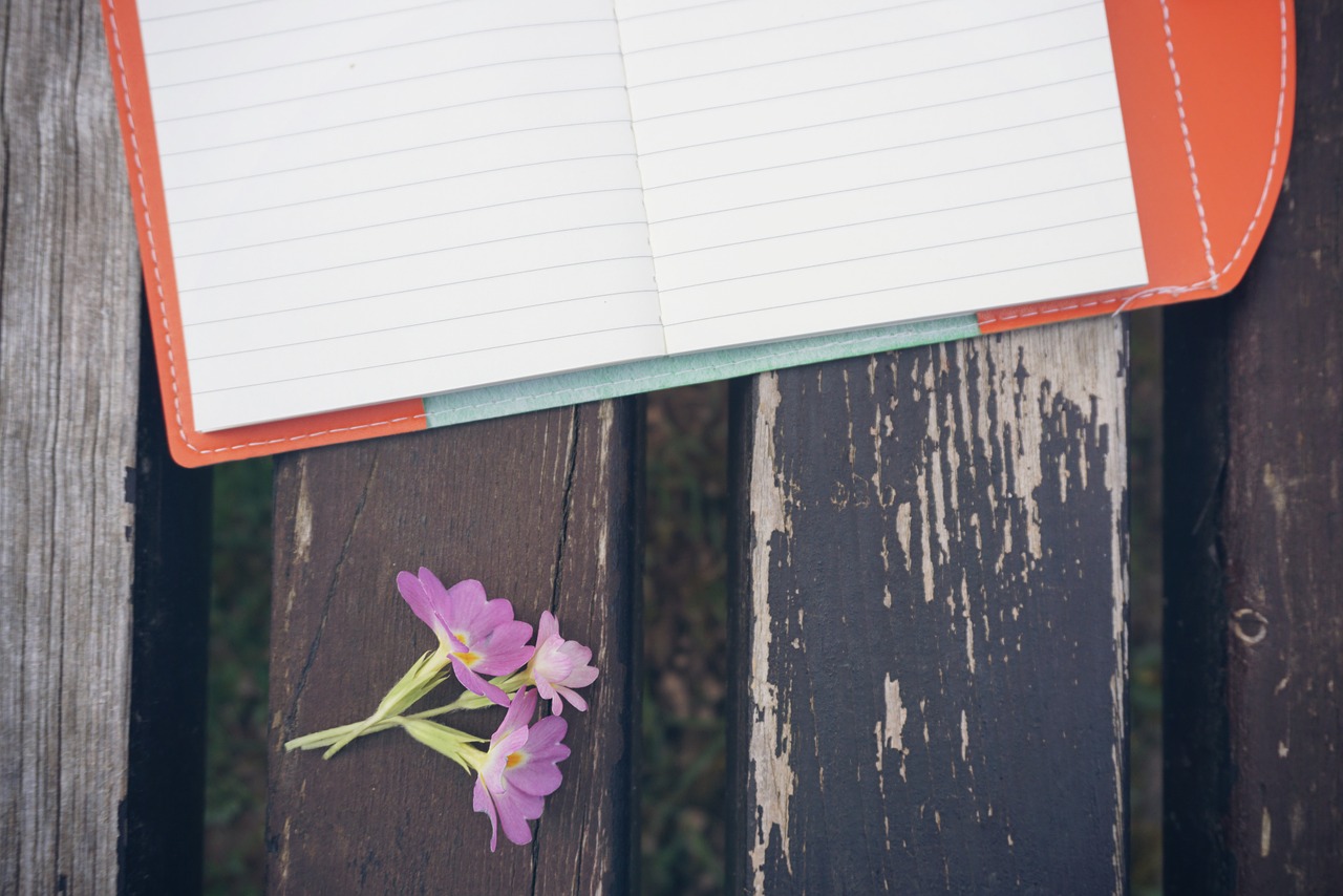 bench flower notebook free photo