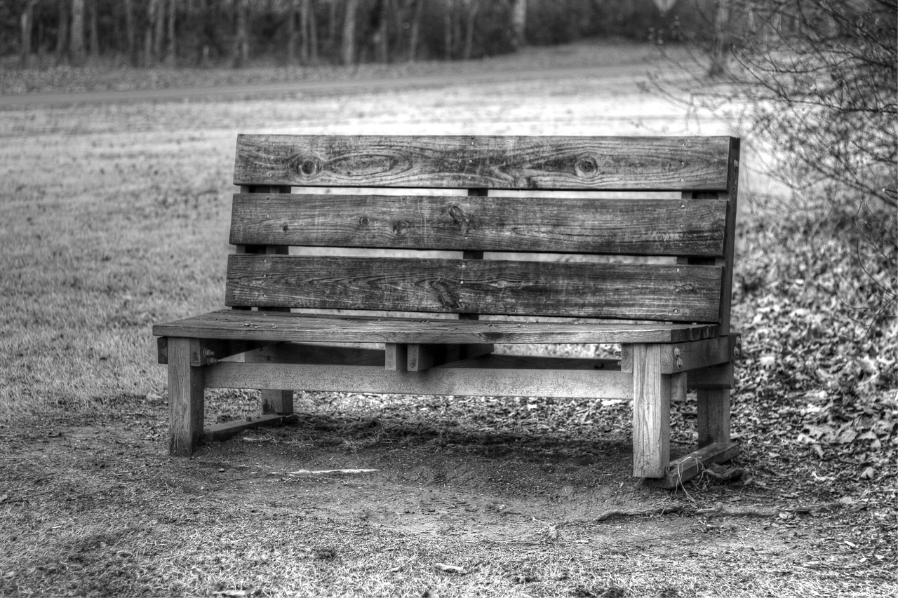 bench garden park free photo