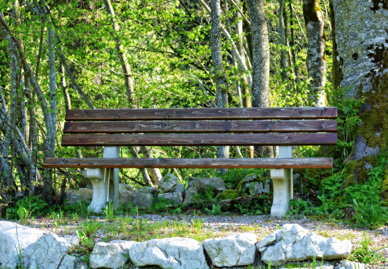 bench bank nature free photo