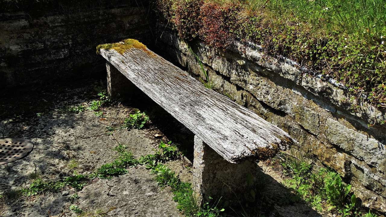 bench rotten worn free photo