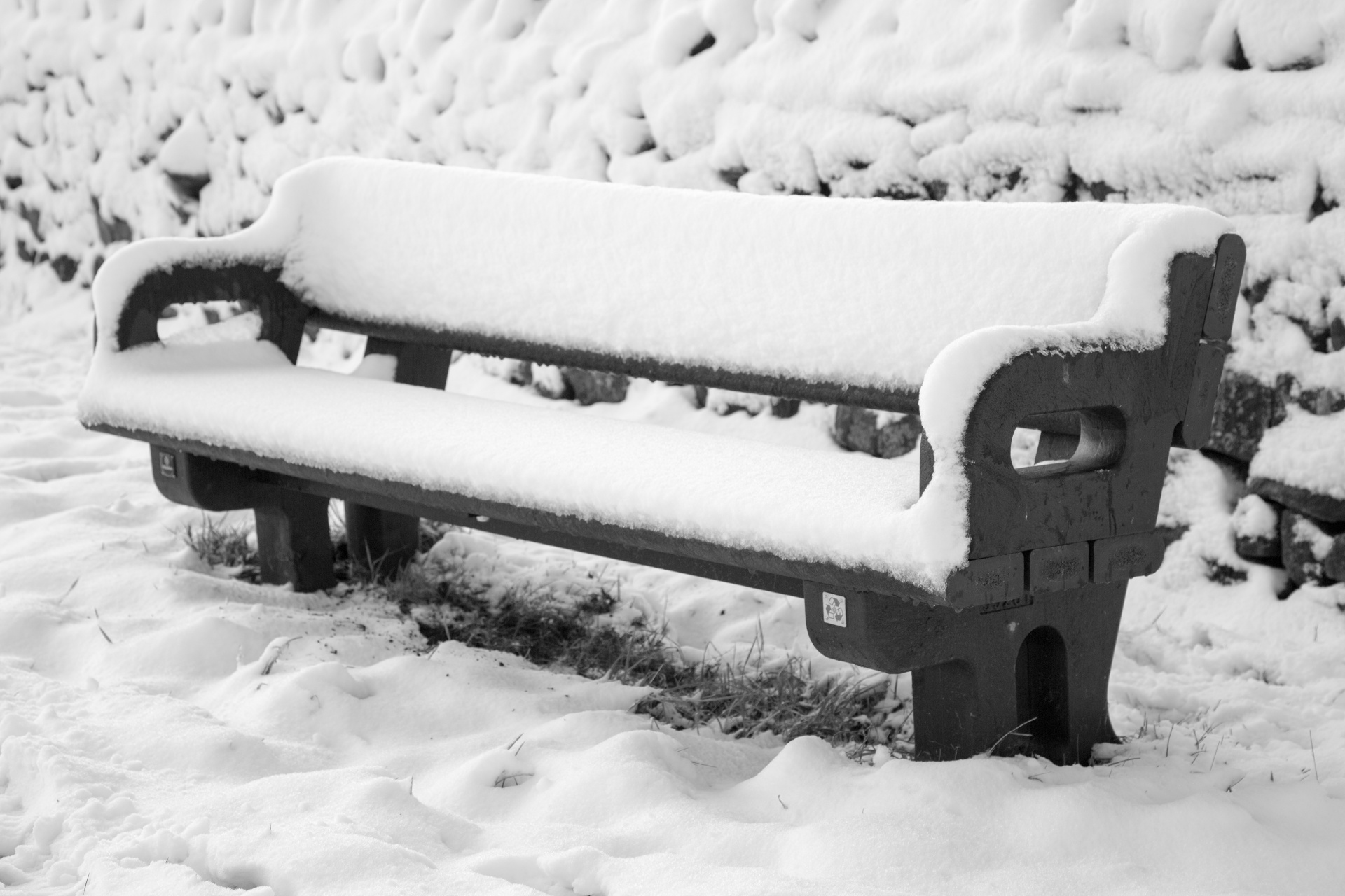 bench park wooden free photo