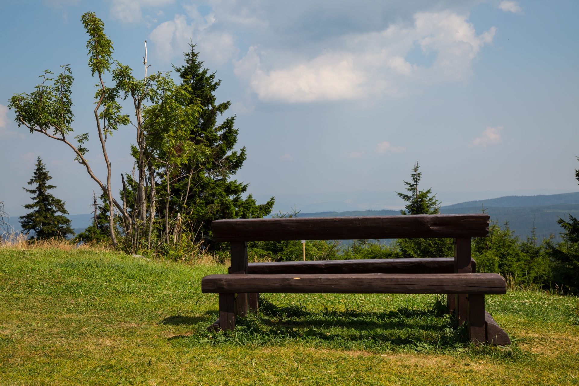 bench park wooden free photo