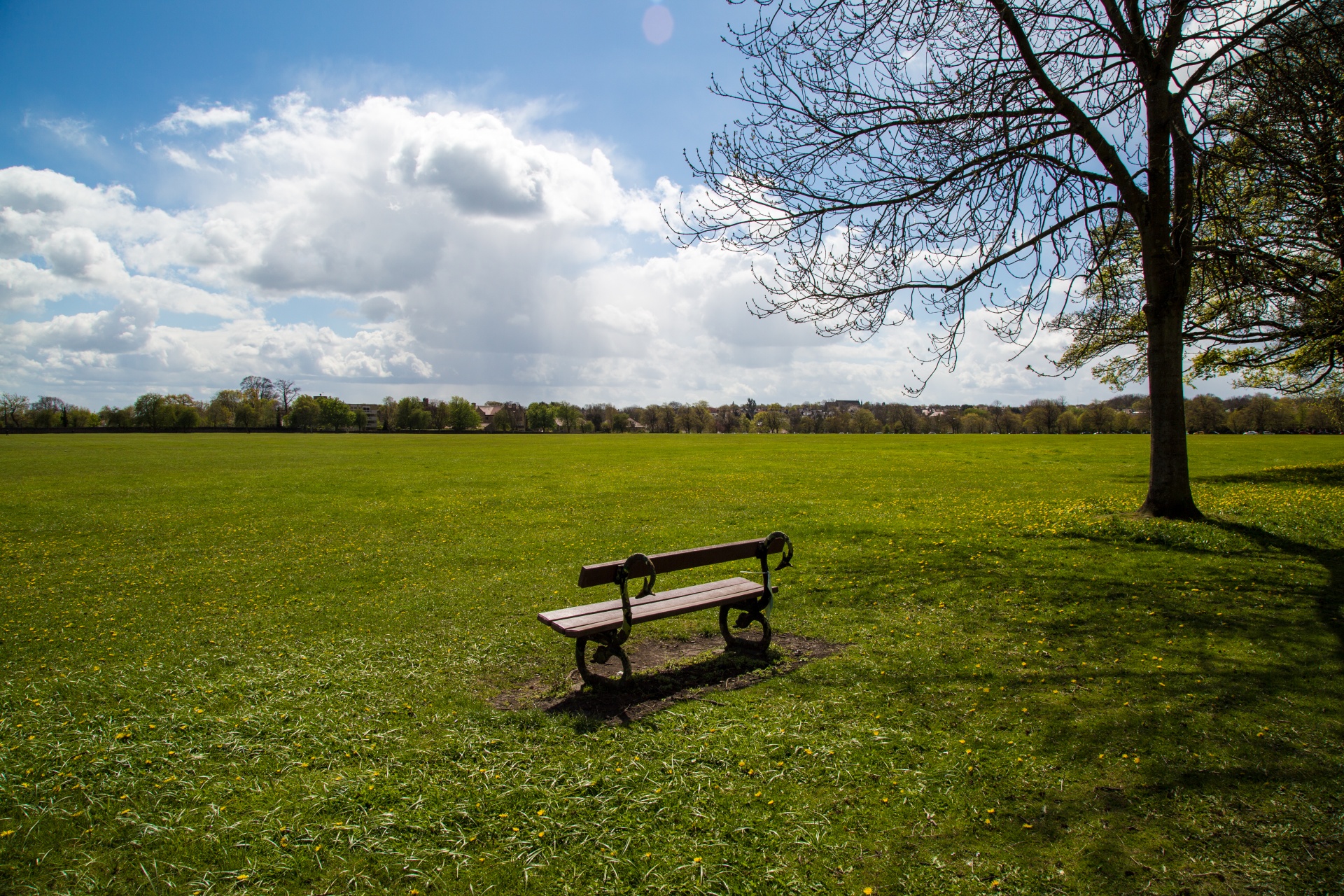 bench park wooden free photo