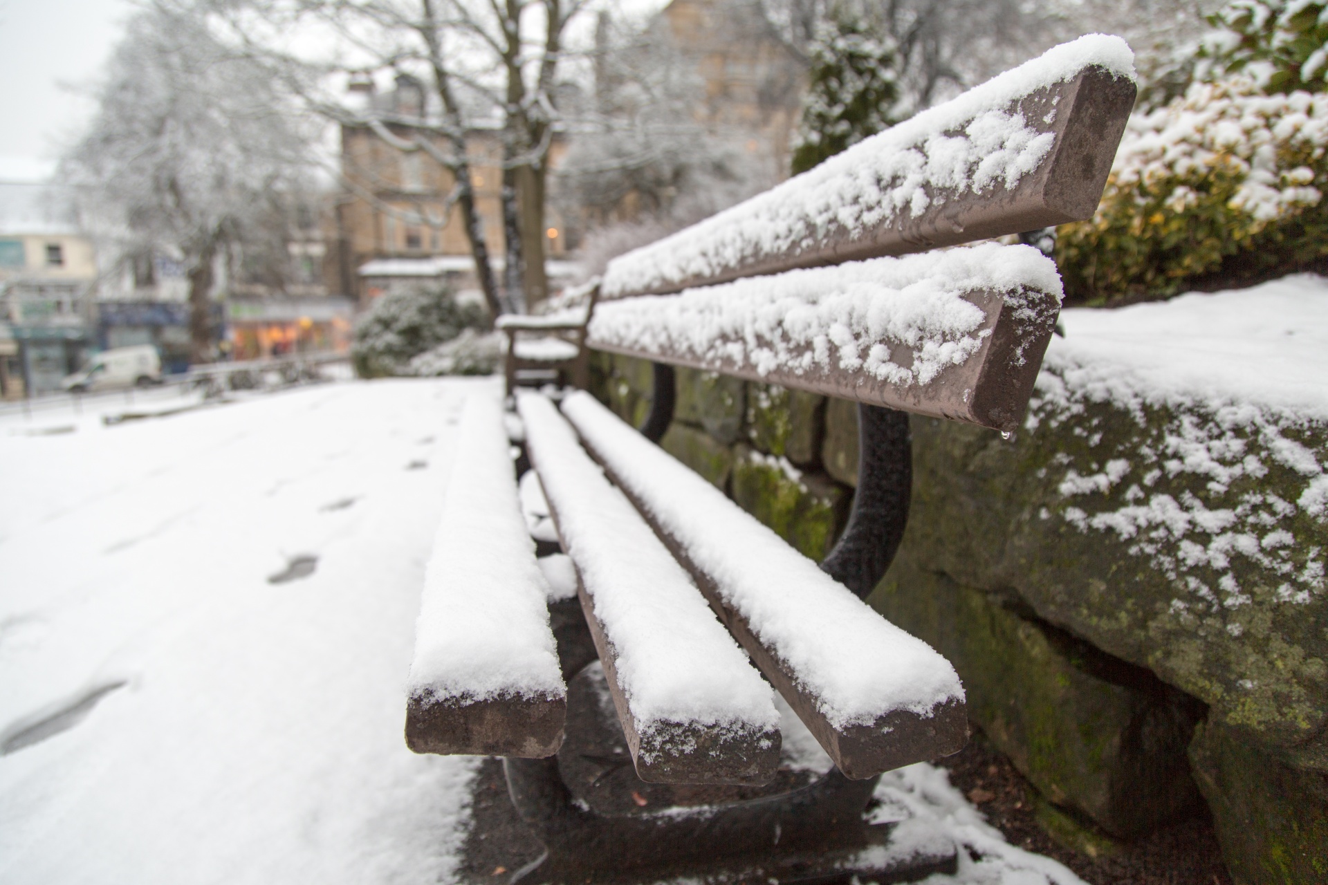 bench park wooden free photo