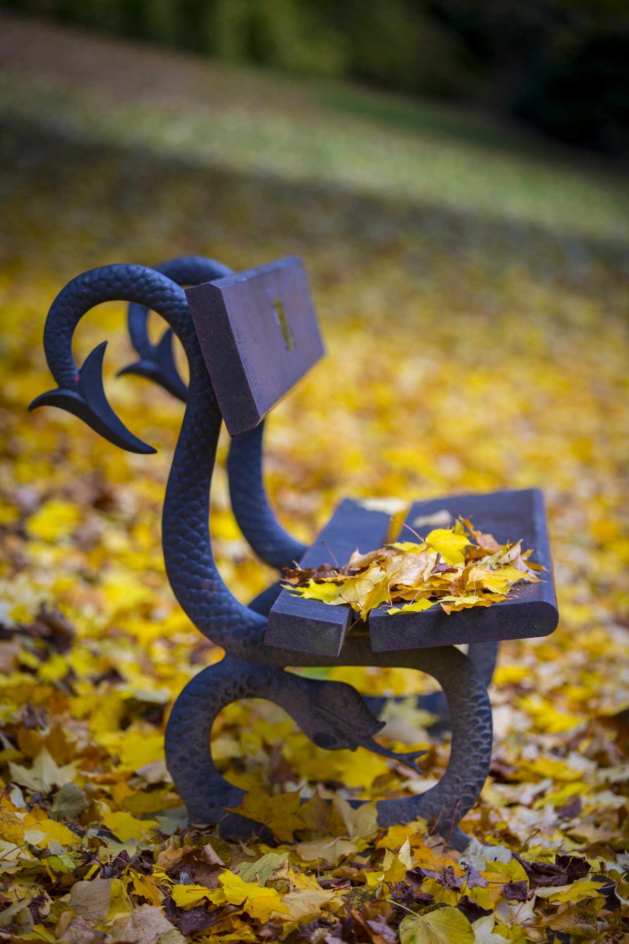 bench wooden front free photo