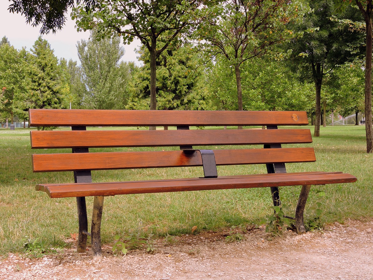 bench park garden free photo