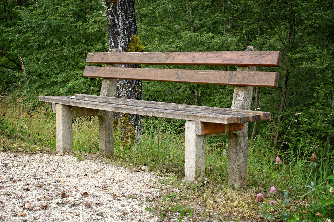 bench sit bank free photo