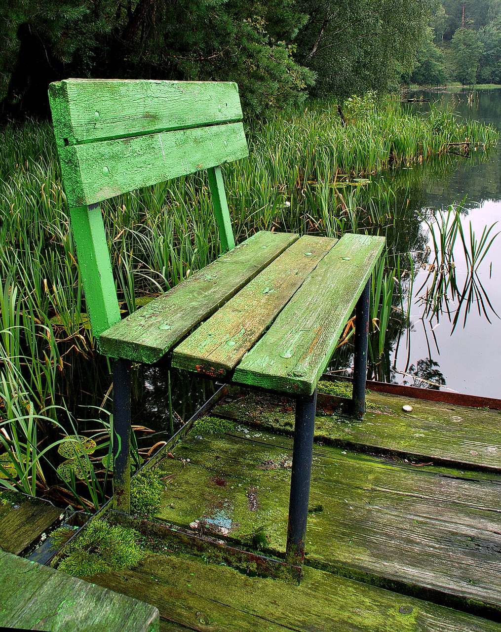 bench lake fishing free photo