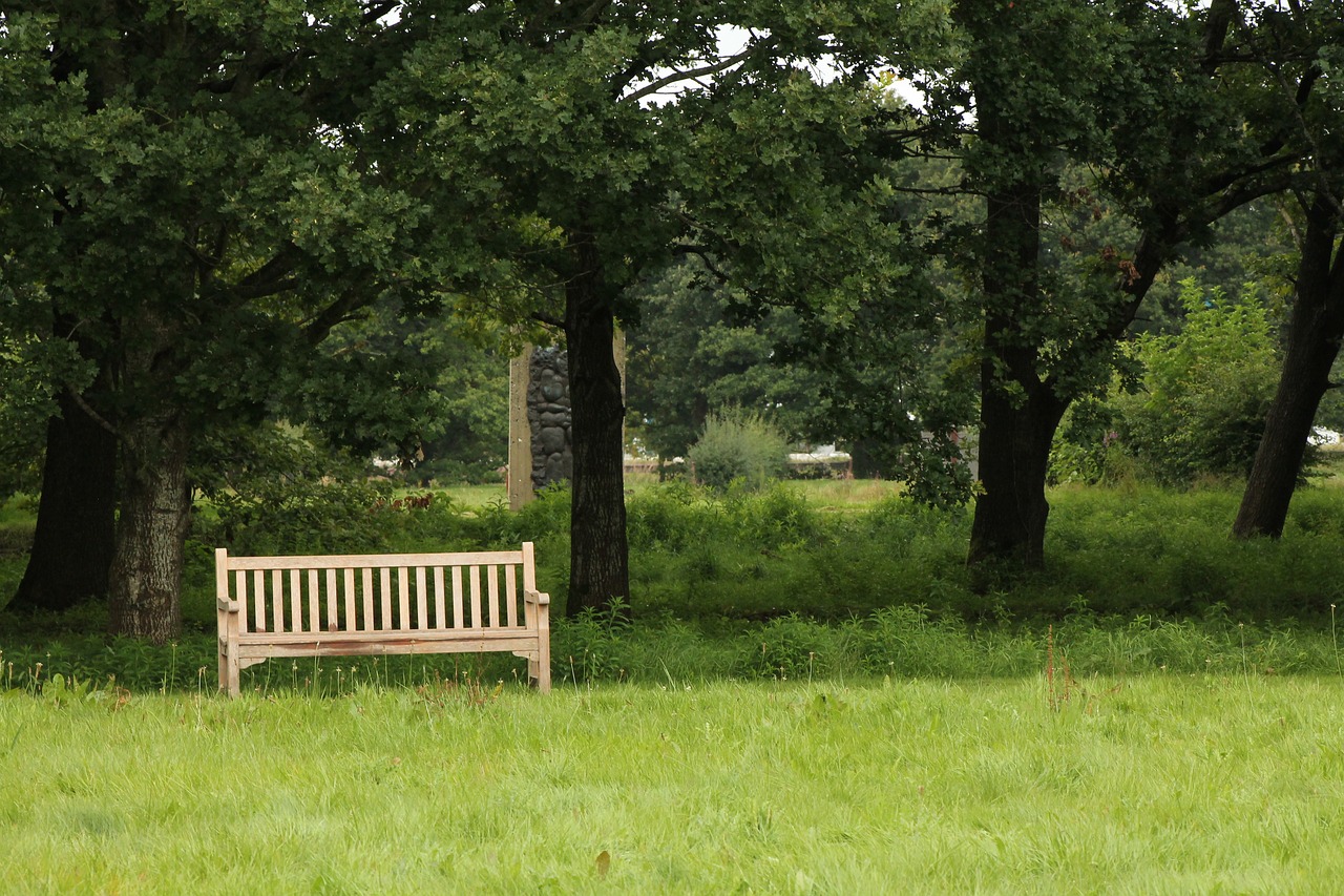 bench nature outdoor free photo