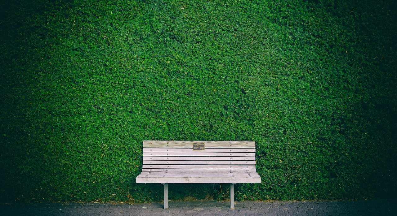 bench hedge green free photo
