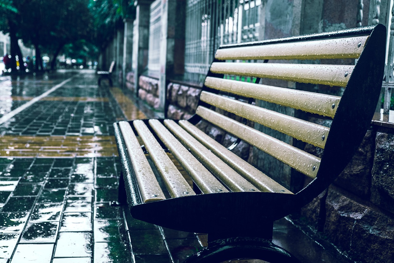 bench rain with the beat free photo