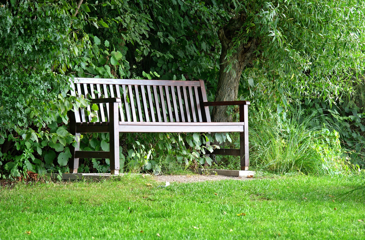 bench bank seat free photo