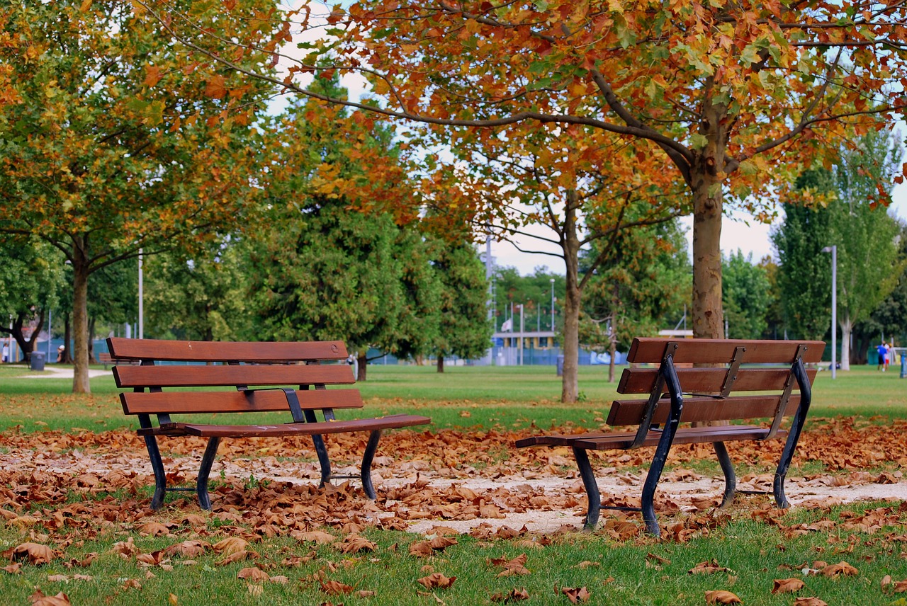 bench autumn dried leaves free photo