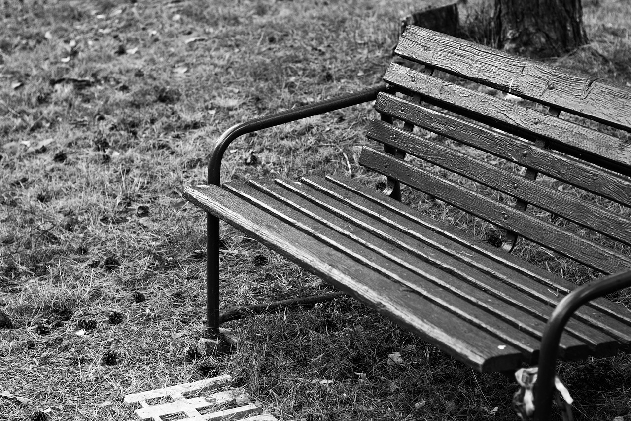 bench session outside free photo