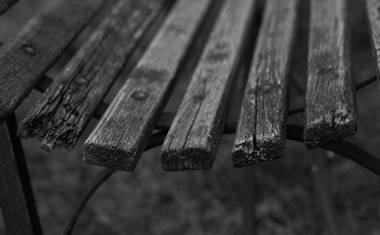 bench wood session free photo