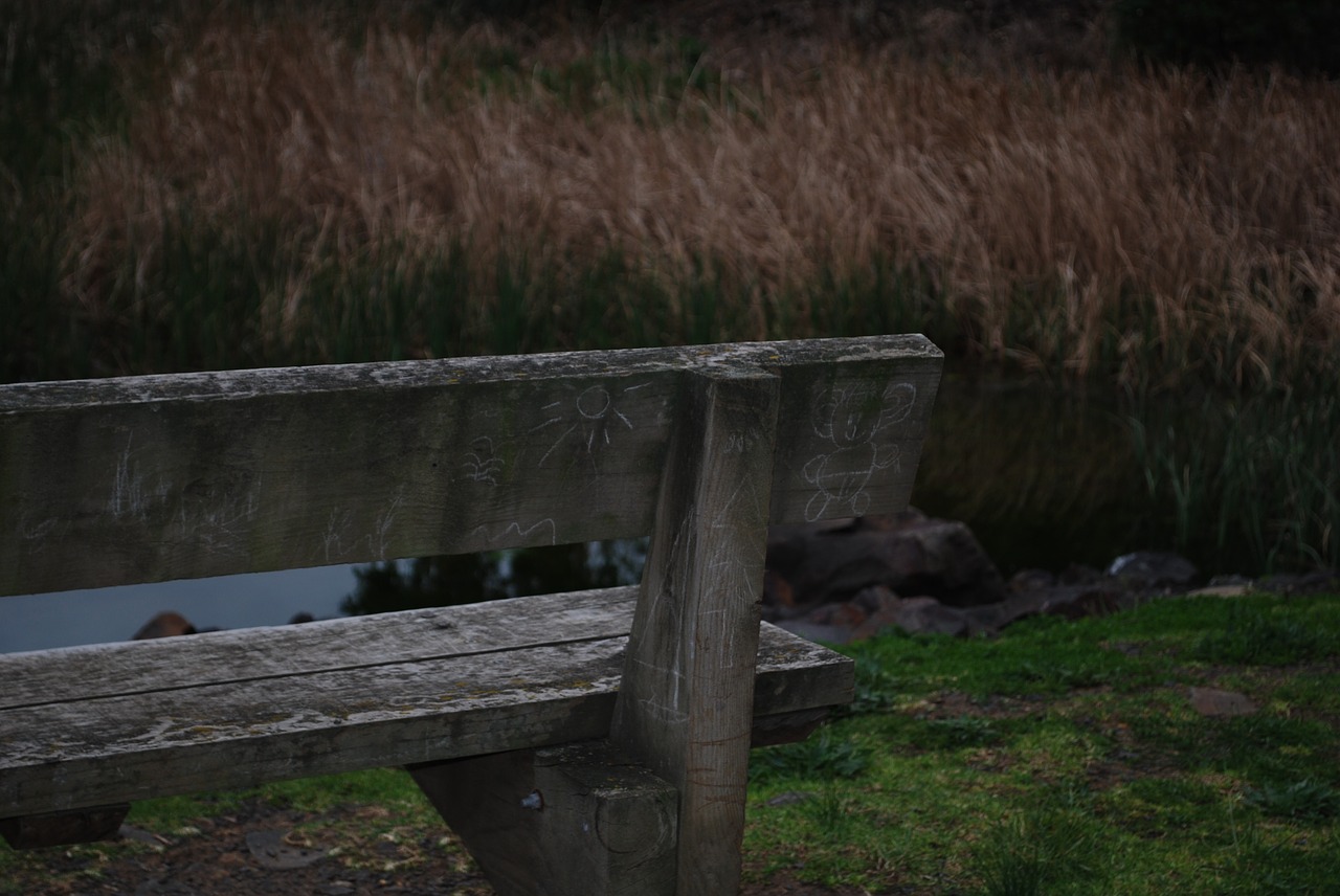 bench reeds graffiti free photo