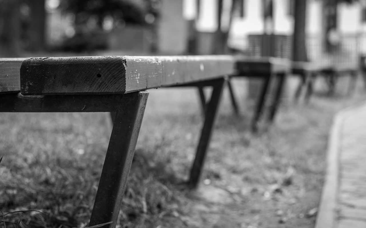 bench laiček series black and white free photo