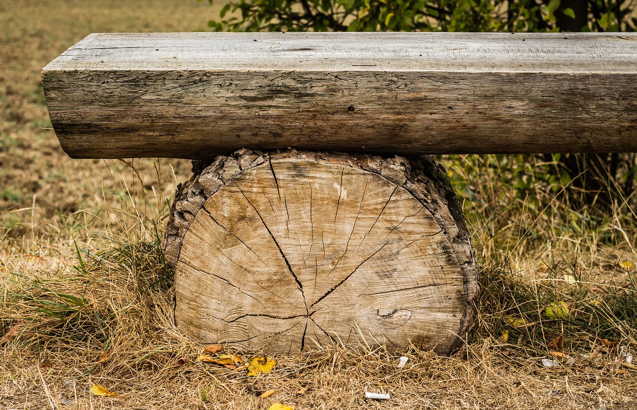 bench wooden strain free photo