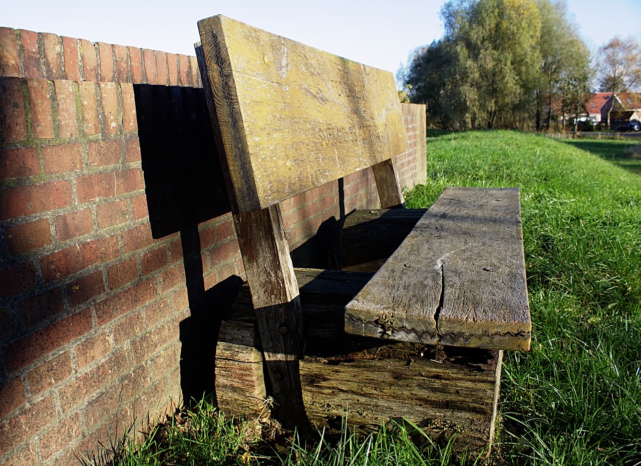 bench wooden outdoor free photo