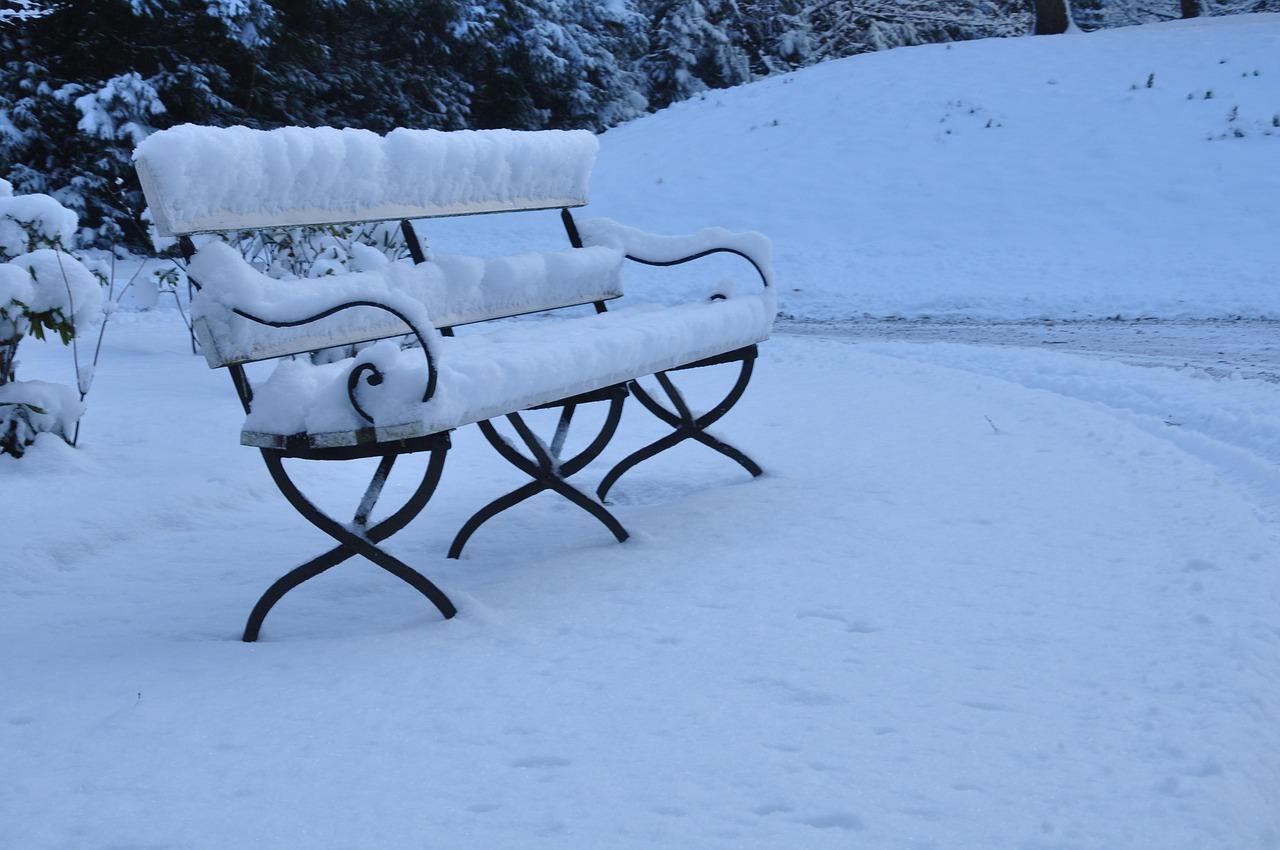 bench snow rest free photo