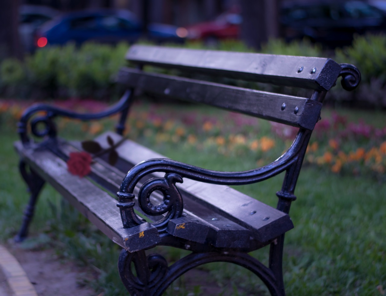 bench park romance free photo