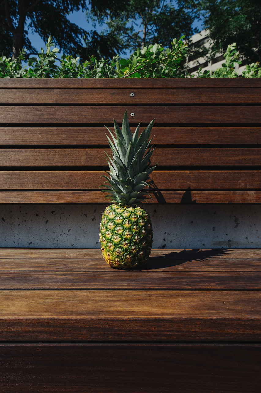 bench fruit pineapple free photo