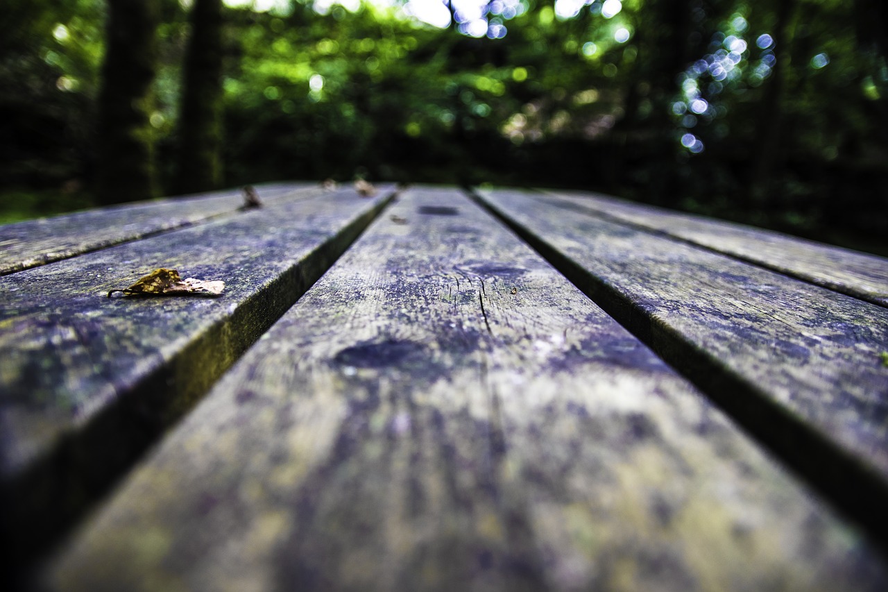 bench table wet free photo