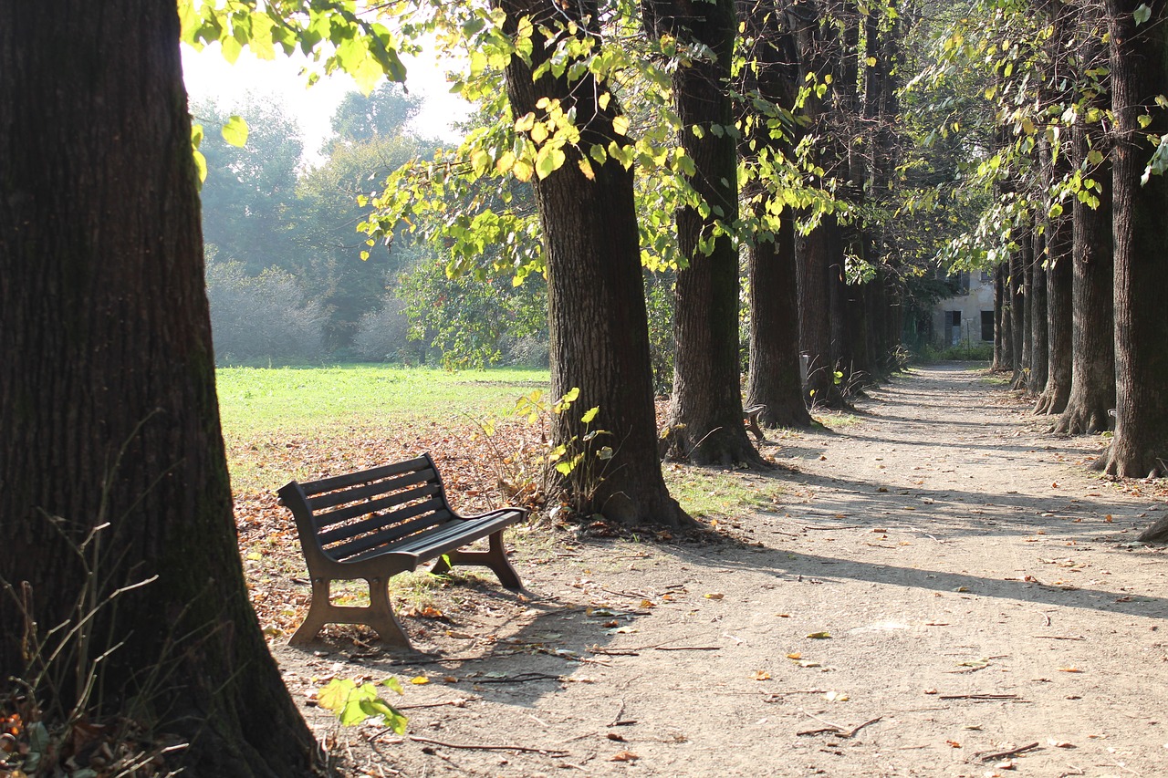 bench park autumn free photo