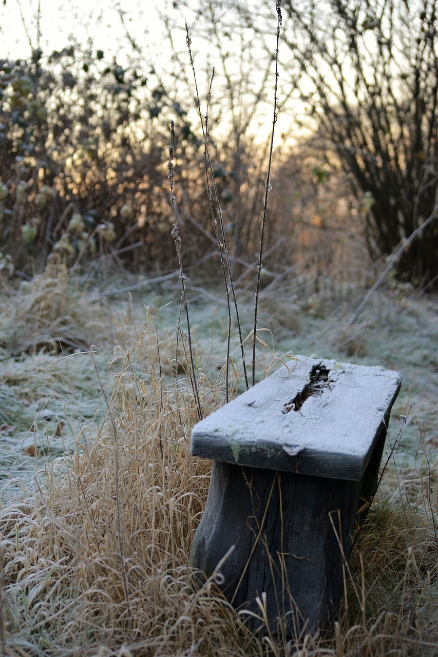bench cold frost free photo