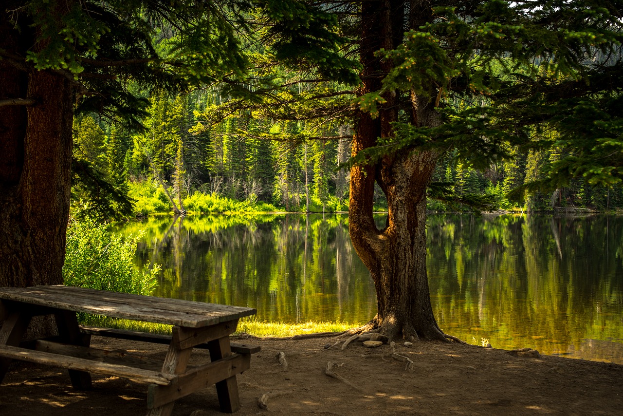 bench dawn fall free photo