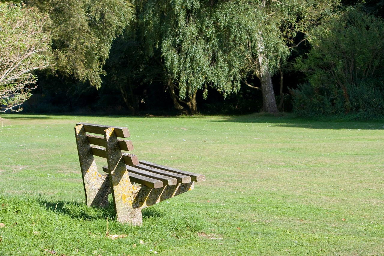 bench park seat free photo