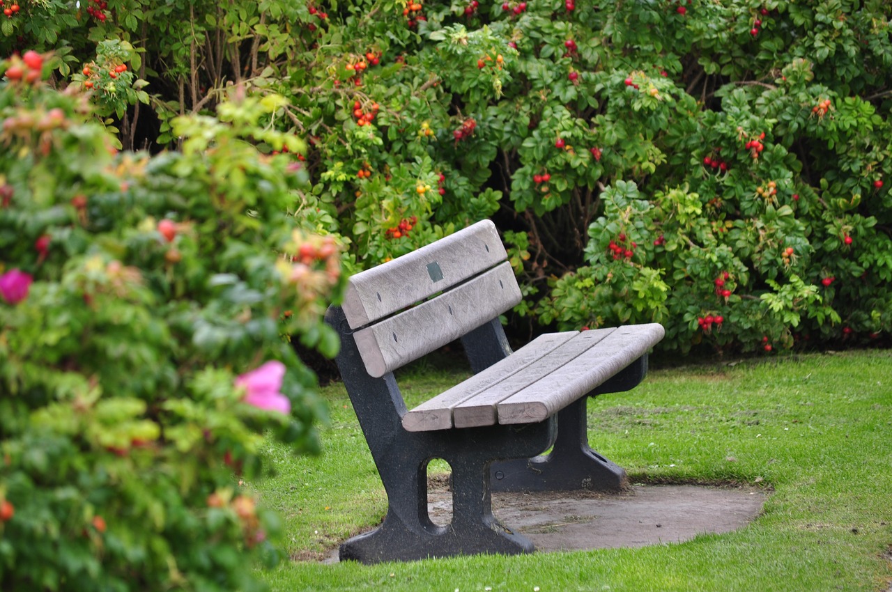 bench garden holiday free photo