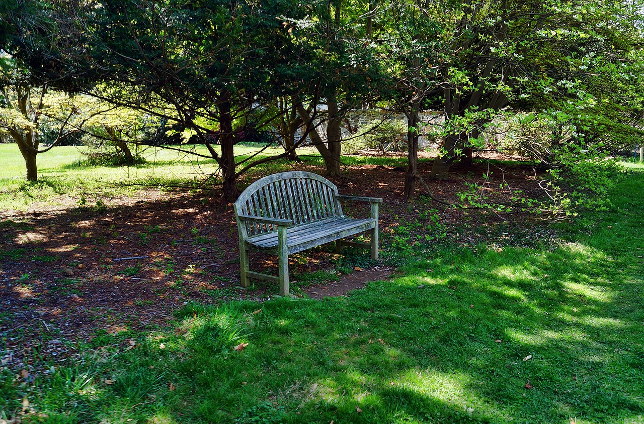 bench park seating free photo