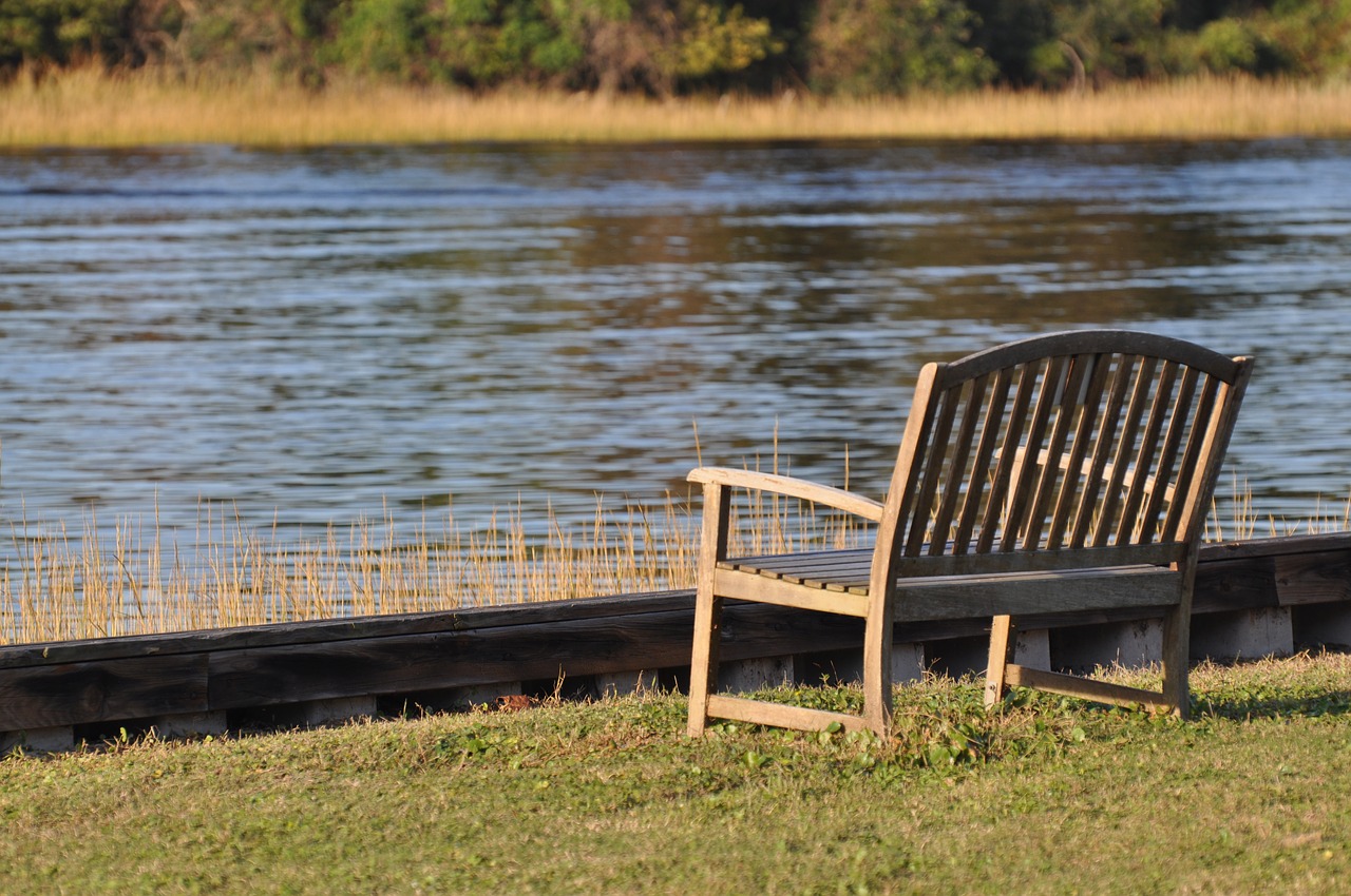 bench water outdoor free photo