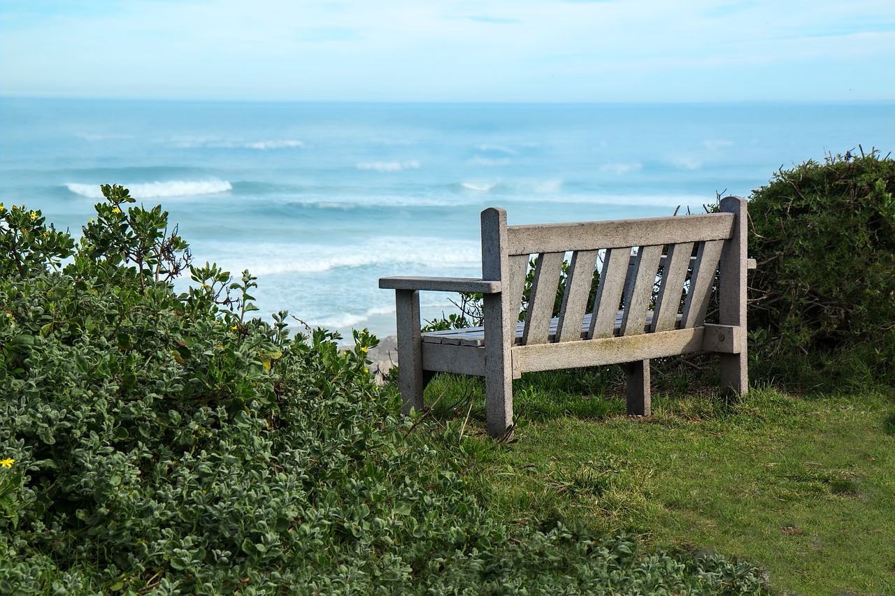 bench seaside view free photo