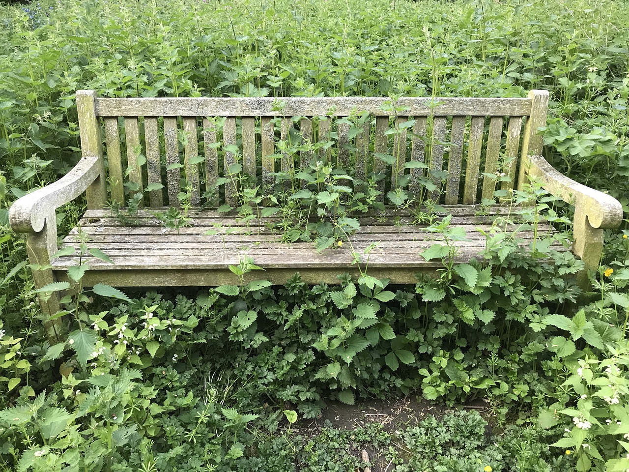 bench abandoned old free photo