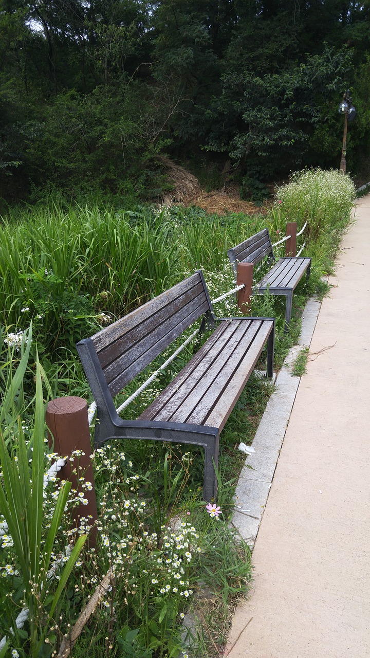 bench chair roadside free photo