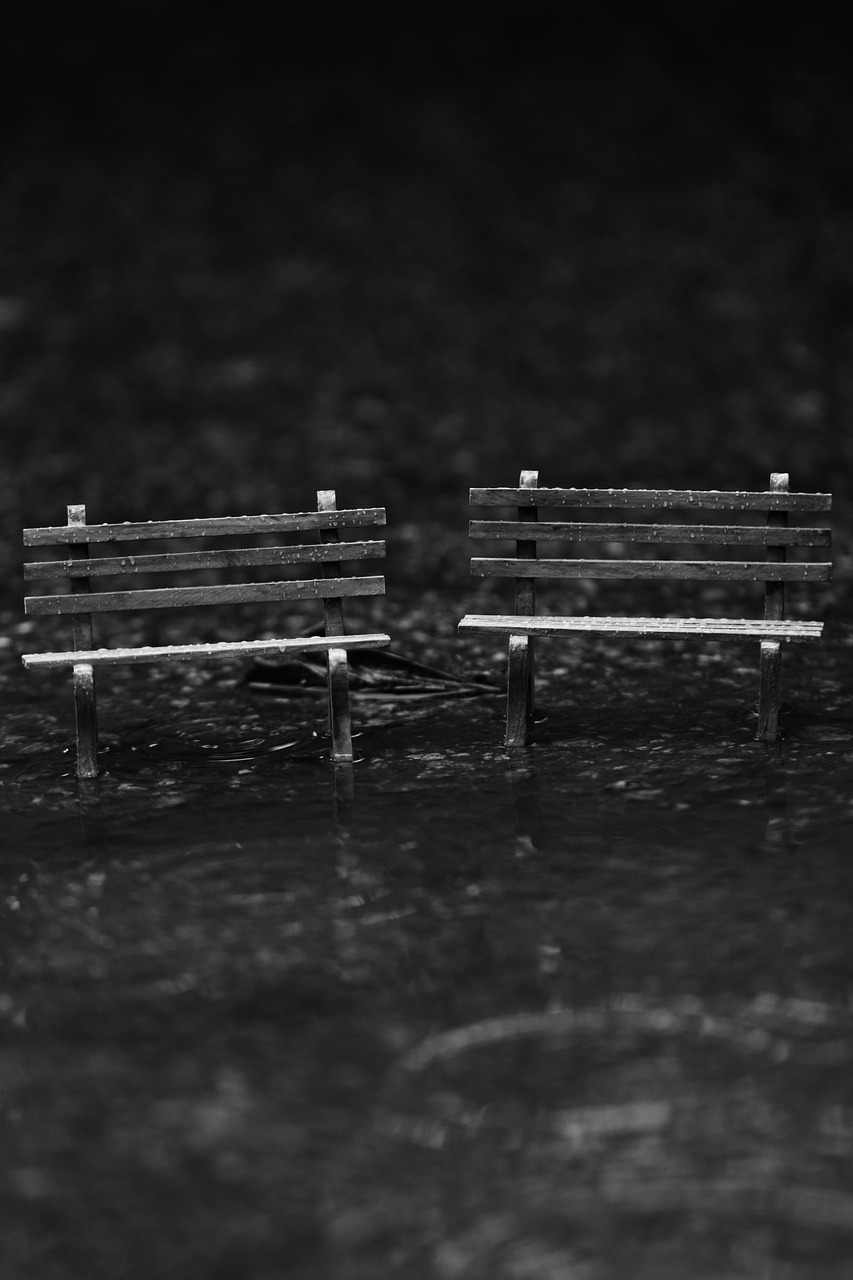 bench sitting park free photo