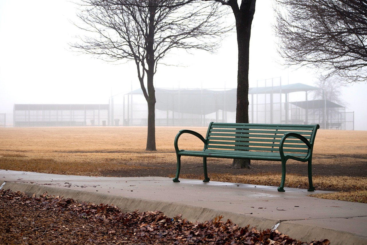 bench park fog free photo