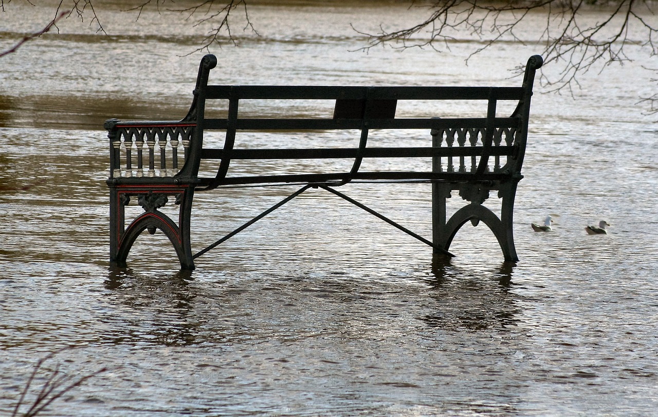 bench flood park free photo