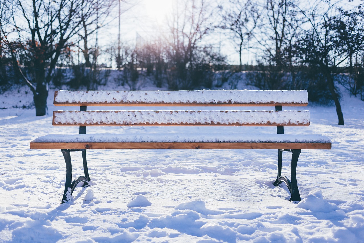 bench outdoor snow free photo