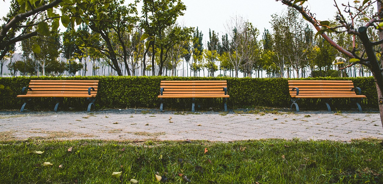 bench green grass free photo