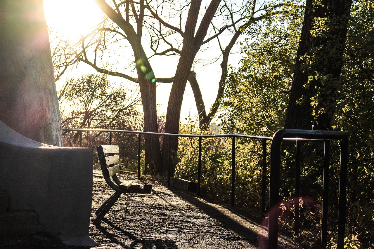 bench sunlight sunny free photo