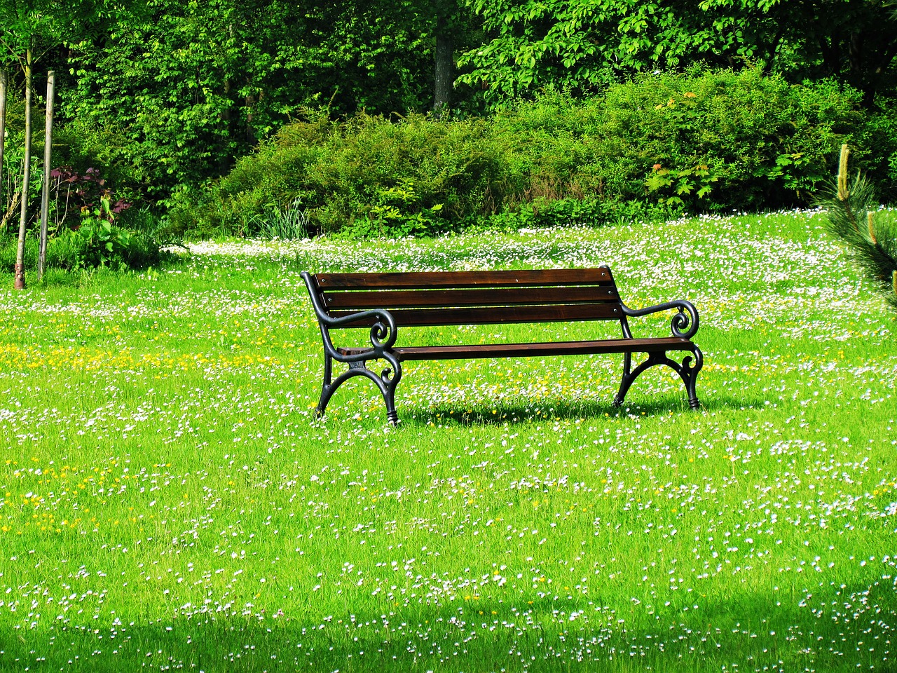 bench park green free photo