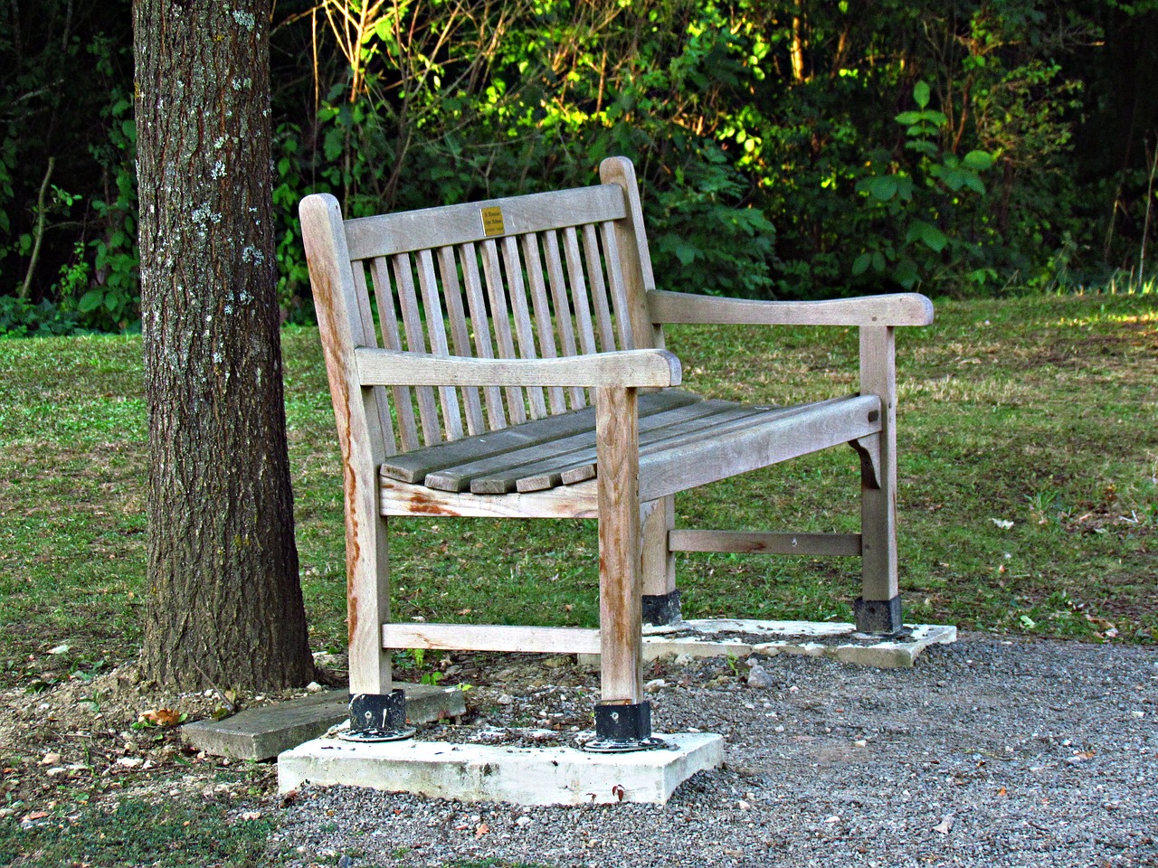 bench wooden park free photo