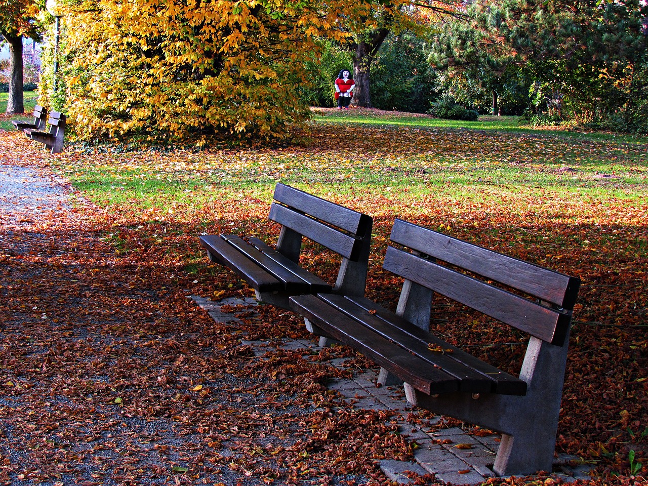 bench park foliage free photo