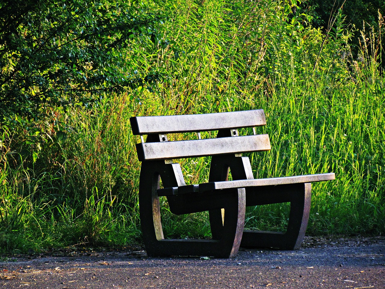 bench park spacer free photo